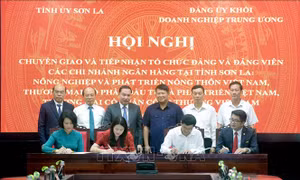 Góp phần hoàn thiện mô hình tổ chức Đảng của Đảng ủy Khối Doanh nghiệp Trung ương
