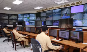 Cảnh sát giao thông tạm dừng hệ thống xử lý vi phạm hành chính để nâng cấp các biểu mẫu, quy trình