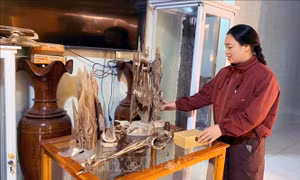 Trầm hương lên sàn, lan tỏa thương hiệu OCOP Hà Tĩnh