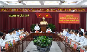 Đoàn khảo sát của Tiểu ban Điều lệ Đảng Đại hội XIV làm việc tại Cần Thơ