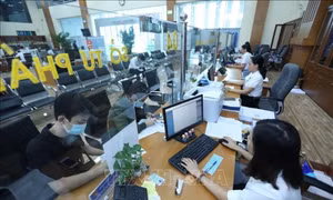 Quy định mới về cơ quan chuyên môn thuộc UBND cấp tỉnh, huyện, áp dụng từ 1/3