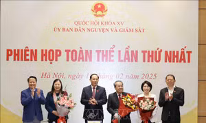 Phiên họp toàn thể lần thứ nhất của Ủy ban Dân nguyện và Giám sát
