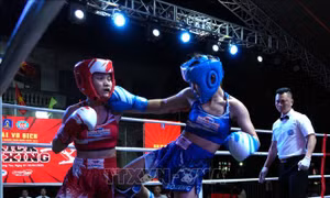 Khoảng 400 võ sĩ tranh tài tại Giải vô địch các đội mạnh toàn quốc môn Kickboxing