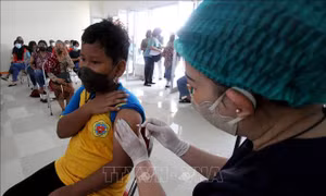 WHO khuyến khích Indonesia trở thành trung tâm sản xuất vaccine ngừa COVID-19