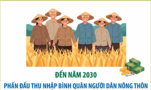 Đến năm 2030, phấn đấu thu nhập bình quân người dân nông thôn tăng gấp 2,5-3 lần so với năm 2020