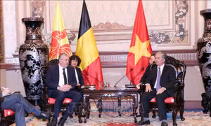 Thúc đẩy hợp tác giữa TP Hồ Chí Minh và vùng Wallonie-Bruxelles