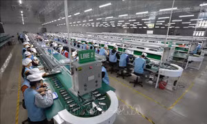 Ba yếu tố giúp kinh tế Việt Nam tăng trưởng ổn định