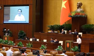 Cử tri hiến kế thêm những giải pháp phát triển kinh tế - xã hội 