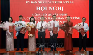 Sơn La kiện toàn một số chức danh lãnh đạo sở, ngành