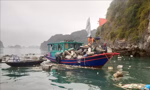 Quảng Ninh: Xây dựng phương án xử lý rác thải, không để tái diễn sự cố môi trường
