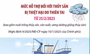 Mức hỗ trợ đối với thủy sản bị thiệt hại do thiên tai từ 25/2/2025