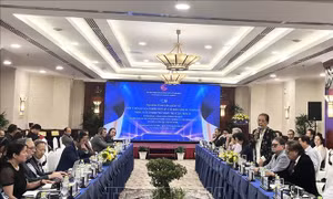 TP Hồ Chí Minh hướng tới mục tiêu trở thành thành phố sáng tạo về điện ảnh