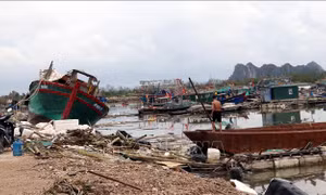 Ngoại trưởng Séc chia buồn với Việt Nam về thiệt hại do bão số 3 gây ra