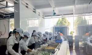 Tăng cường giám sát suất ăn học đường