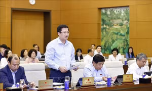 Phiên họp thứ 45 Ủy ban Thường vụ Quốc hội: Xây dựng cơ chế, chính sách đặc biệt phát triển kinh tế tư nhân