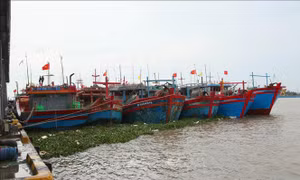 Ninh Bình: Tạm dừng hoạt động tại một số khu, điểm du lịch do bão số 4