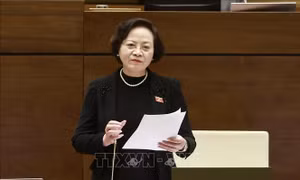 Bộ trưởng Nội vụ mong đại biểu ủng hộ tạm thời giữ nguyên mô hình chính quyền địa phương 