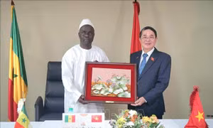 Phó Chủ tịch Quốc hội Nguyễn Đức Hải làm việc với Chủ tịch Tòa Thẩm kế Senegal