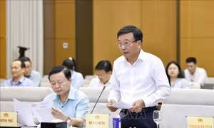 Nghiên cứu kỹ chính sách đặc thù, đặc biệt về phát triển đường sắt