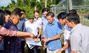 Chủ tịch UBND thành phố Hải Phòng kiểm tra một số dự án tại huyện Cát Hải