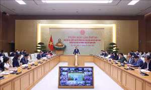 Hoàn thiện thể chế giám sát chống khai thác IUU