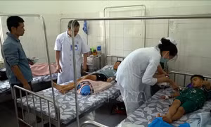 Vụ ngộ độc thực phẩm tại Quảng Trị: Phát hiện vi khuẩn trong các mẫu bệnh phẩm và thực phẩm