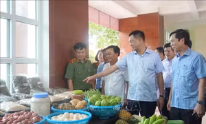 Phát triển kinh tế ở đặc khu Cồn Cỏ gắn với giữ vững quốc phòng - an ninh