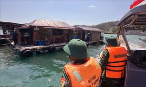 Ứng phó bão số 4: Quảng Ninh chủ động di dời hơn 180 người dân đến nơi an toàn