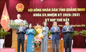 Phê chuẩn kết quả bầu, miễn nhiệm chức vụ Phó Chủ tịch UBND tỉnh Quảng Ninh