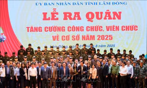 Lâm Đồng: Biệt phái hàng trăm cán bộ công chức giúp giải tỏa áp lực cho cơ sở