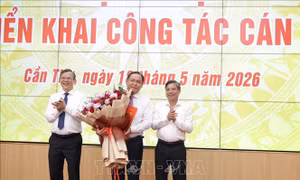 Phê chuẩn ông Lê Công Lý giữ chức vụ Phó Chủ tịch UBND thành phố Cần Thơ