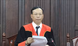 Lấy phiếu tín nhiệm Phó Chánh án Tòa án nhân dân tối cao, Phó Viện trưởng Viện Kiểm sát nhân dân tối cao