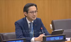 Việt Nam và LHQ gặp gỡ báo chí trước thềm Hội nghị Kiểm điểm Hiệp ước NPT