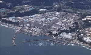 Hàn Quốc thông báo kết quả kiểm tra nồng độ phóng xạ sau 1 năm nhà máy Fukushima xả thải
