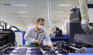 Thắp sáng ngọn lửa thi đua – lan tỏa sức mạnh sáng tạo trong người lao động