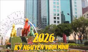 Lộ diện những tiểu cảnh đầu tiên của Đường hoa Nguyễn Huệ xuân Bính Ngọ