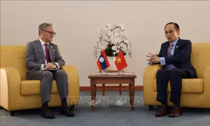Việt Nam tăng cường quan hệ song phương với các nước ASEAN và EU