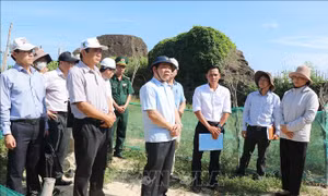 Quảng Ngãi thúc tiến độ các dự án ở đảo Lý Sơn