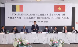 Chủ tịch Quốc hội Vương Đình Huệ dự Tọa đàm doanh nghiệp Việt Nam - Vương quốc Bỉ