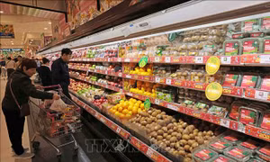 Giá cả ngày đầu năm mới ổn định