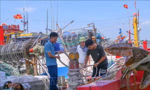 Ninh Bình cấm biển từ 12h ngày 27/9
