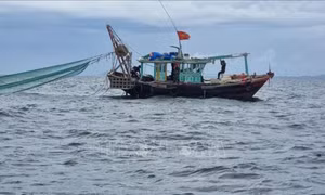 Sửa đổi tăng nặng mức phạt đối với một số vi phạm hành chính trong lĩnh vực thủy sản