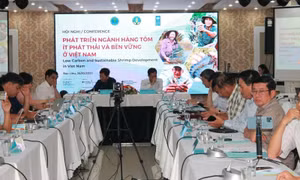 Phát triển ngành tôm xanh và bền vững trong bối cảnh biến đổi khí hậu