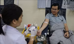 Gần 1.000 đoàn viên, thanh niên Huế hiến máu tình nguyện trong Ngày Chủ nhật đỏ
