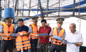 Đà Nẵng siết chặt quản lý tàu cá