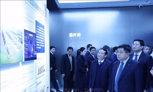 Phó Thủ tướng Nguyễn Chí Dũng thăm và làm việc tại tỉnh Chiết Giang, Trung Quốc