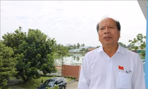 Quy định 144-QĐ/TW: Căn cứ để cán bộ, đảng viên bồi dưỡng năng lực và uy tín