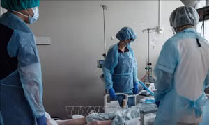 Chuyên gia Nhật Bản: Tỷ lệ tử vong do biến thể Omicron cao hơn bệnh cúm mùa