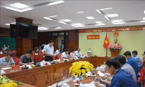 Giám sát chuyển mục đích sử dụng rừng cho dự án cao tốc Khánh Hòa - Buôn Ma Thuột