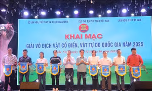 Hơn 300 vận động viên tranh tài ở Giải Vô địch Vật cổ điển, Vật tự do quốc gia năm 2025